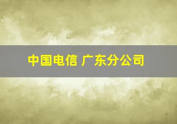 中国电信 广东分公司